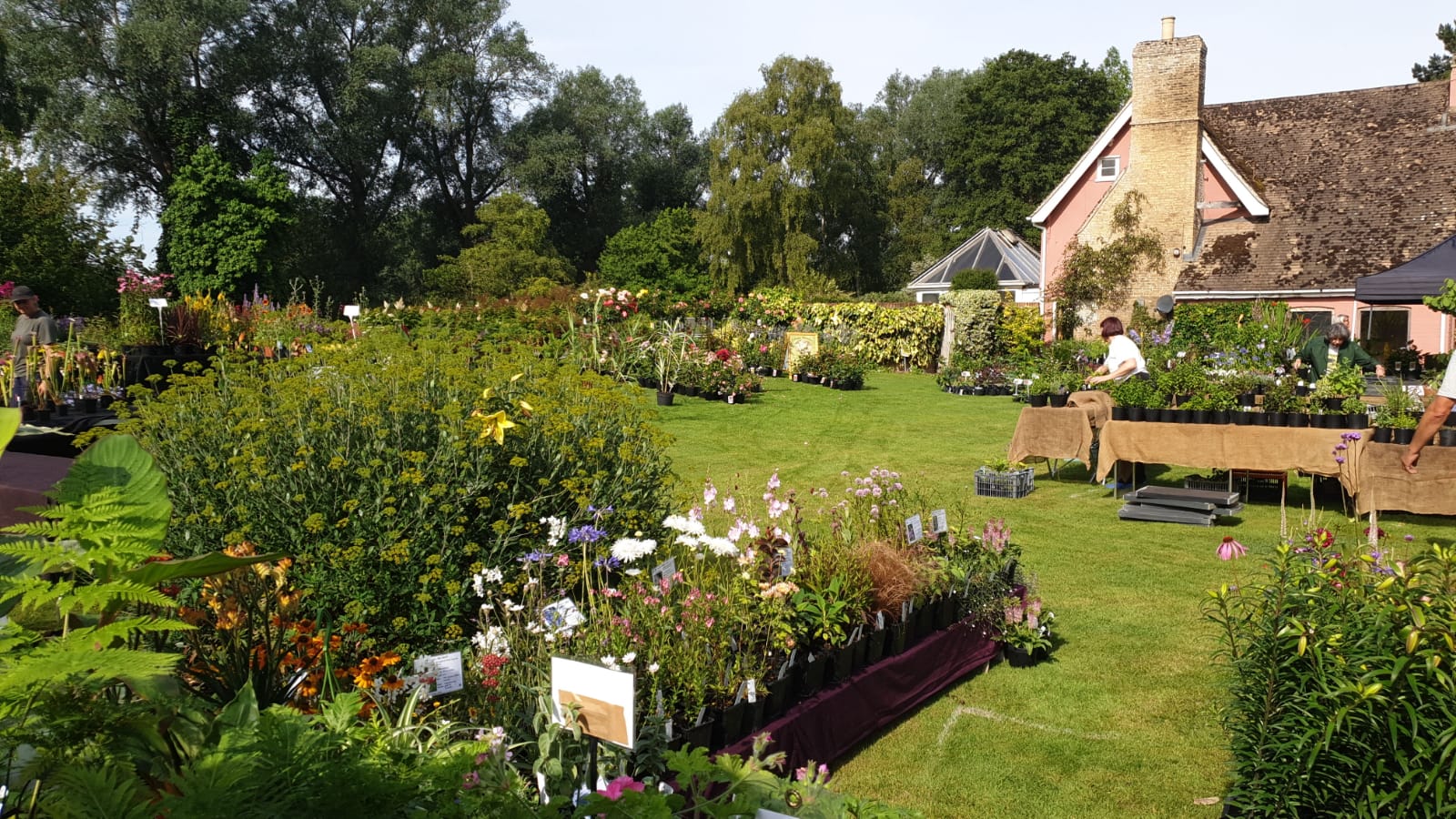 Plant Fairs Shrubland Nurseries Suffolk from Shrubland Nurseries Suffolk