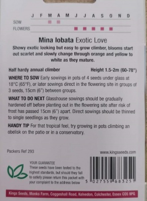 Ipomoea (Mina) lobata Seeds