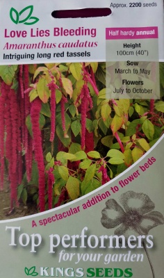 Amaranthus caudatus seeds