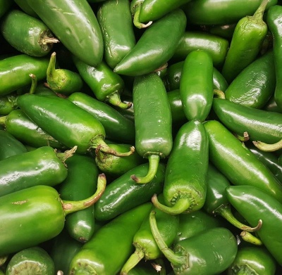 Pepper (Chilli)  'Jalepeno' - seeds