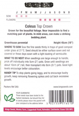 Coleus Top Crown