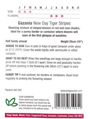 Gazania New Day Tigers Stripes