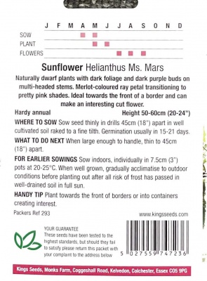 Sunflower Ms Mars