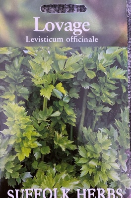 Lovage