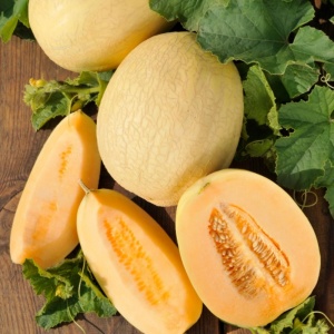 Melon Emir F1 Seeds