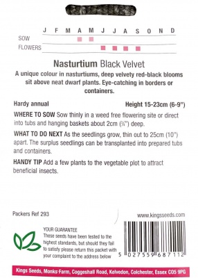 Nasturtium Black Velvet Seeds