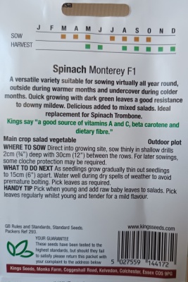 Spinach Monterey F1