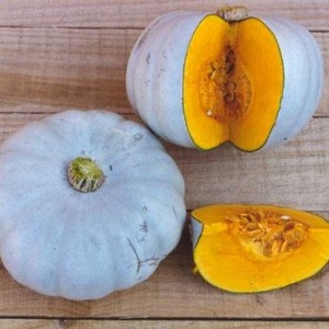 Squash Crown Prince F1 - Seeds