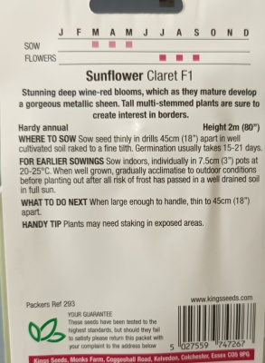 Sunflower Claret F1