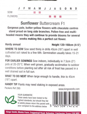 Sunflower Buttercream F1- Seeds