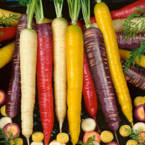 Carrot Mixed Colour - Seeds