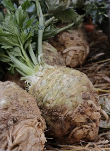 Celeriac Prinz - Seeds