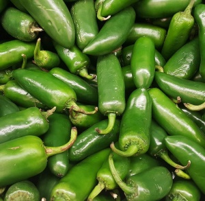 Pepper (Chilli)  'Jalepeno' - seeds