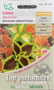 Coleus Top Crown