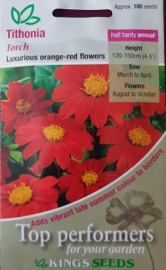 Tithonia 'Torch' seeds