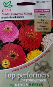 Zinnia Dahlia Flowered Mixed seeds