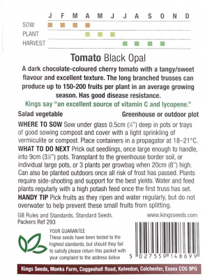 Tomato Black Opal