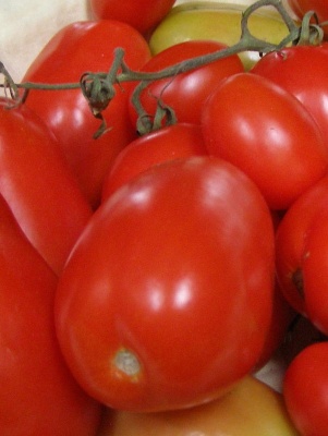 Tomato San Marzano Seeds