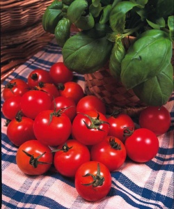 Tomato Gardeners Delight - Seeds