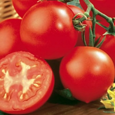 Tomato Shirley F1 - Seeds